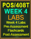POS/408T Week 4 Pre-Assessment, Post-Assessment, Flashcards, and DQ